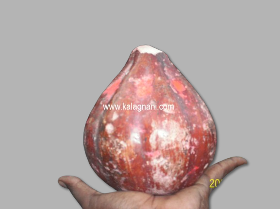 గుమ్మడికాయ